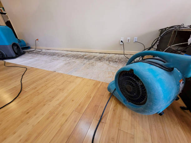 Professional Flood Damage Cleanup technician working in Charleston, ME
